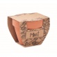 MO2218 Nasiona mity w doniczce MINT POT