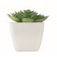 MO2853 Mini sztuczna ro�lina ARTIECHE
