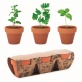 MO6145 Zestaw 3 doniczek z terakoty  FLOWERPOT